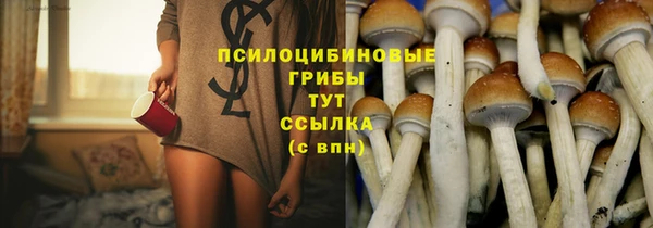 мяу мяу мука Абаза