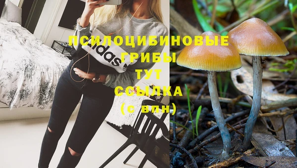 молекула духа Абинск