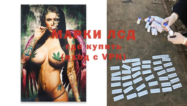 стаф Алексин