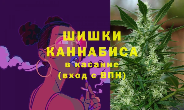 прущие грибы Абдулино