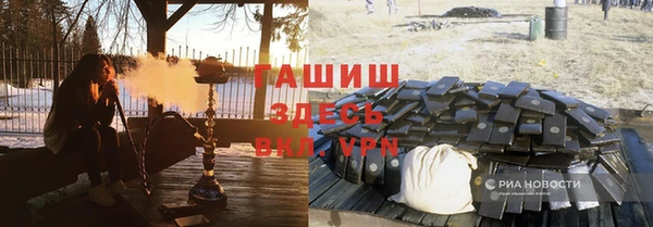стаф Алексин