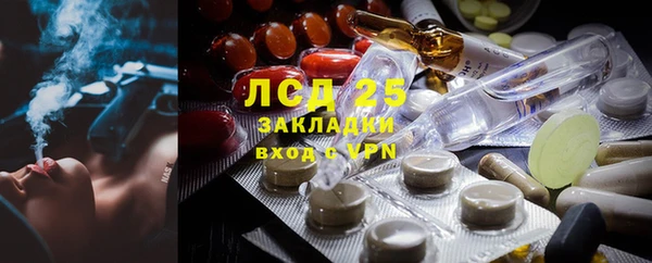 прущие грибы Абдулино