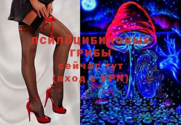 мяу мяу мука Абаза