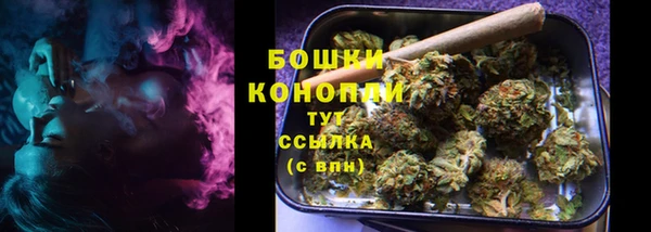прущие грибы Абдулино