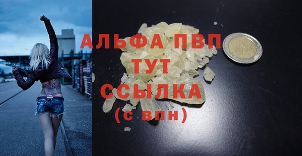 мяу мяу мука Абаза
