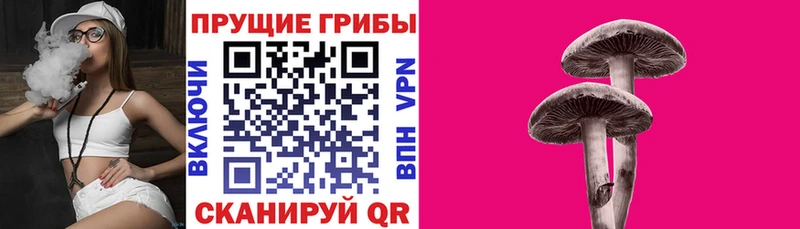 Псилоцибиновые грибы прущие грибы  Ишимбай 