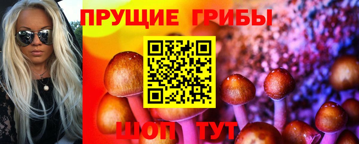 Галлюциногенные грибы Psilocybe Ишимбай
